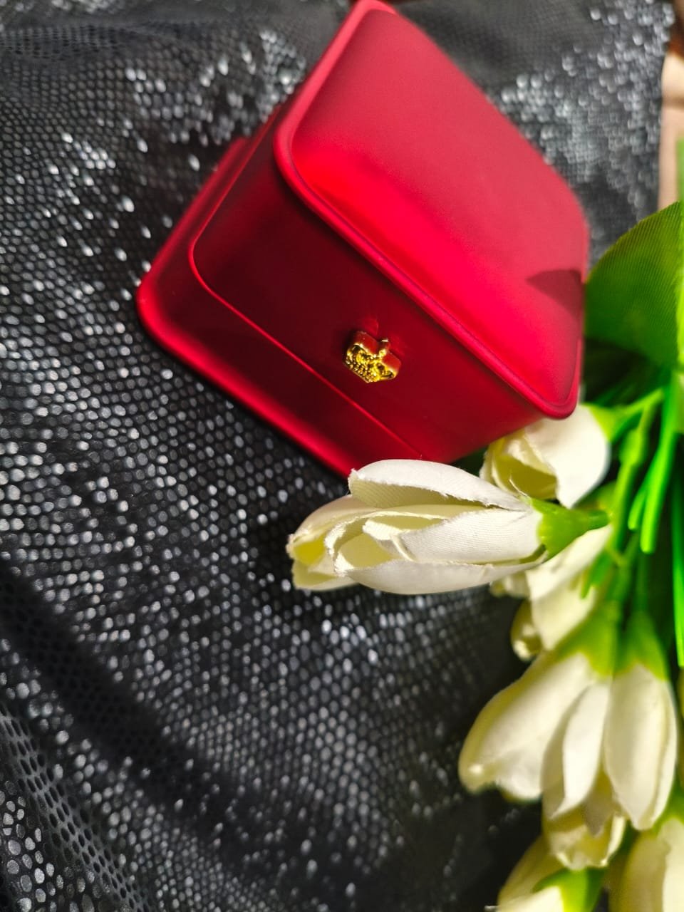 whatsapp-image-2026-03-02-at-81246-pm-4